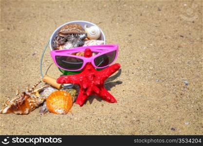 Starfish and shells on the sand at sea shore