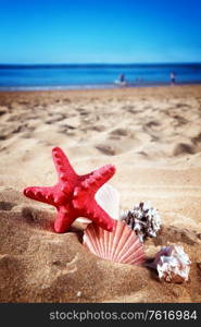 starfish ans seashells frame on sandy sea shore, retro toned. starfish ans seashells on sea shore