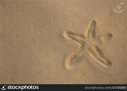 Starfish footprint over caribbean sand