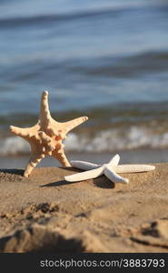 Starfish in the beach sand at ocean background. Summer vacation symbol