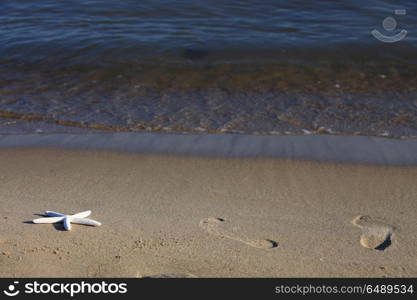 Starfish in the beach sand at ocean background. Summer vacation symbol