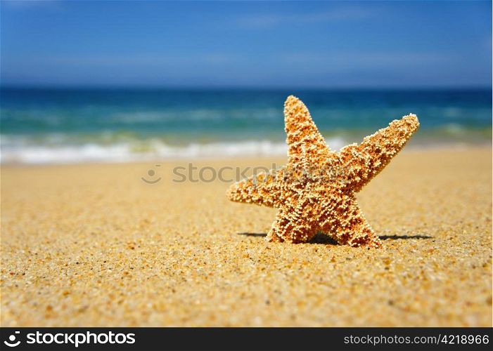 Starfish on a tropical beach and blue summer sky.