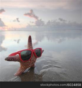 Starfish on summer beach. Starfish in sunglasses on summer beach at sunrise