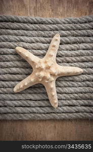 starfish on the background of hemp rope