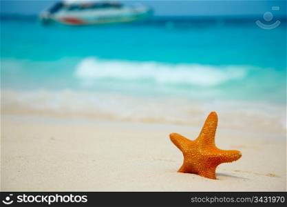 Starfish on the beach. Ocean surf. Similan islands, Thailand.