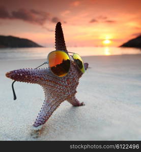 Starfish on the beach. Starfish in sunglasses on the beach and beautiful sunset over the sea background