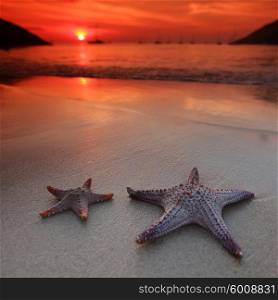 Starfish on the beach. Starfish on the beach and beautiful sunset over the sea background