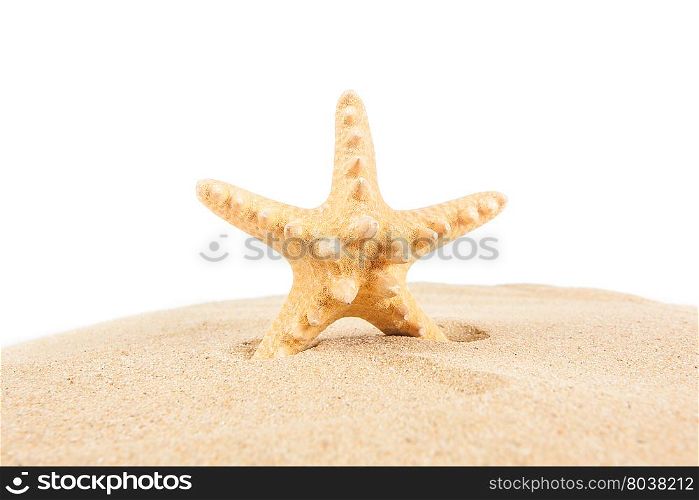 Starfish on the Sand. Vacation concept