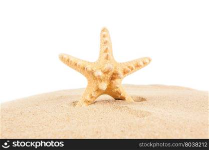 Starfish on the Sand. Vacation concept