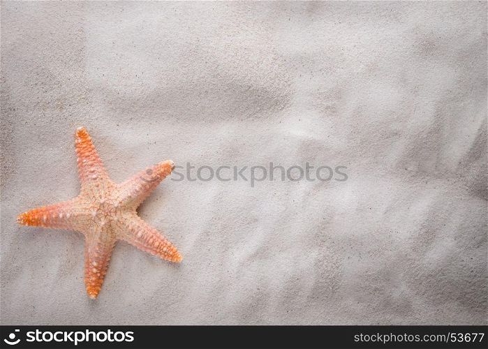 starfish on the sand with copy space for summer concept.