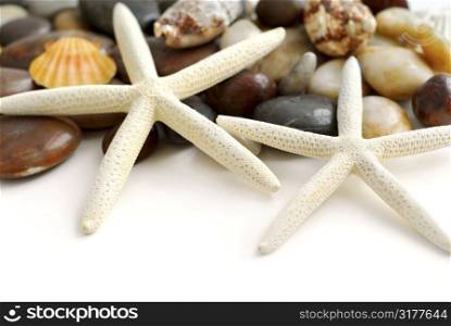 Starfish, pebbles and seashells on white background