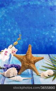 starfish seashells with hyacinth flower and white orchid on blue wood background