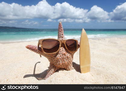 Starfish surfer on beach. Starfish surfer on sand of tropical beach at Philippines