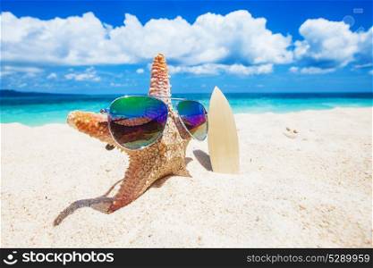 Starfish surfer on tropical beach. Starfish surfer on sand of tropical beach at Philippines