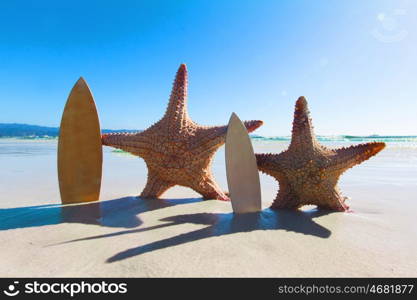 Starfish surfers on beach. Two Starfish surfers on beautiful tropical beach