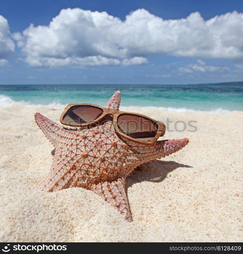 Starfish with sunglasses on beach. Starfish with sunglasses on sand of tropical beach at Philippines