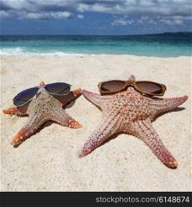 Starfish with sunglasses on beach. Starfish with sunglasses on sand of tropical beach at Philippines