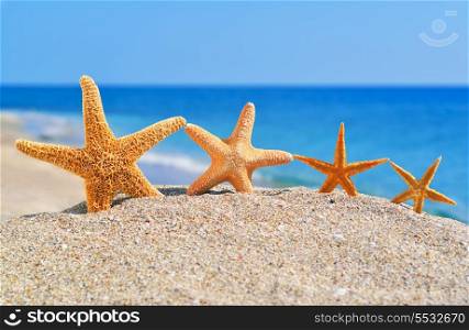 Starfishes on the beach against a blue sea