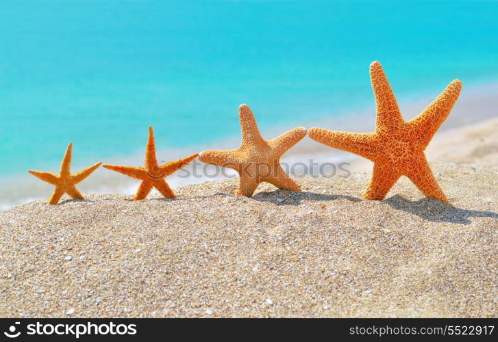 Starfishes on the beach against a turquoise sea