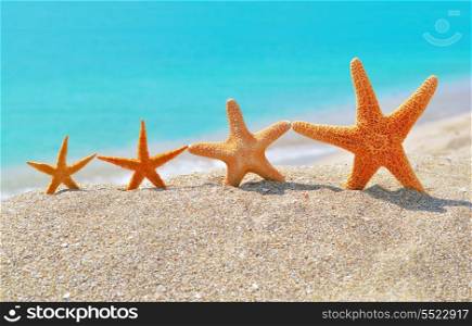Starfishes on the beach against a turquoise sea