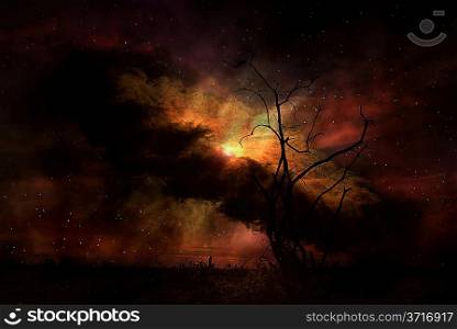 Stark tree silhouette against night sky Elements of this image furnished by NASA