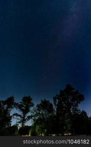 Starry night over the trees near by the city of Kiev in Ukraine. The Milky Way appears in the sky. Cars passes on the road