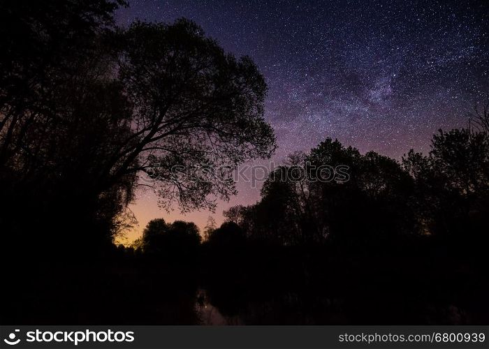 Starry sky above a lake and trees