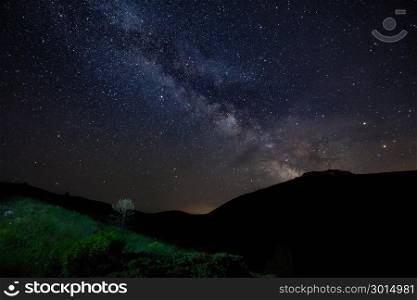 Starry sky with Milky way and silhouette of mountains, green grass and bushes on foreground