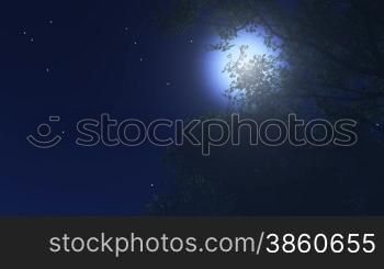 stars twinkle in the night sky,a full moon behind a shaking tree
