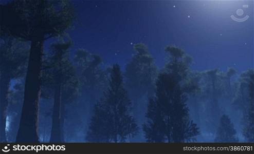 stars twinkling in night sky, trees shaking in wind.