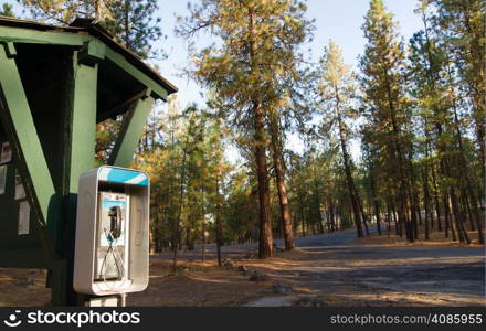 State forest land provides an old school phone booth