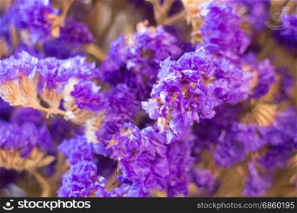 Statice flower bouquet in the vase, stock photo