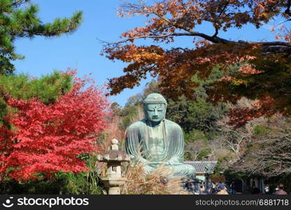 Statue of Amitabha Buddha (Daibutsu) located at the Kotokuin Temple in Kamakura, Japan in Autumn season