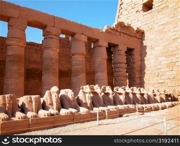 Statue of animals in a row, Temples Of Karnak, Luxor, Egypt