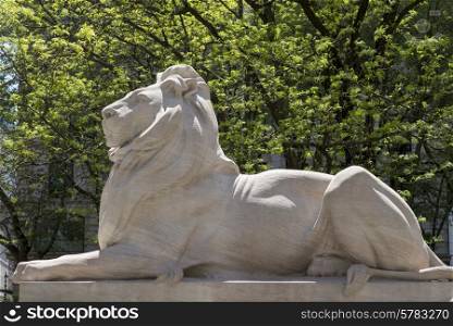 Statue of lion at New York Public Library, Midtown, Manhattan, New York City, New York State, USA