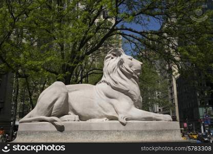 Statue of lion at New York Public Library, Midtown, Manhattan, New York City, New York State, USA