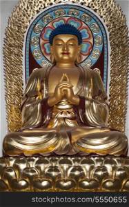 Statue of Lord Buddha, China