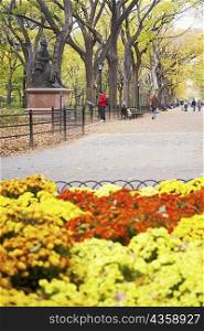 Statue on a pedestal in a park, Central Park, Manhattan, New York City, New York State, USA