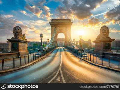 Statues of Lions on Chain Bridge in Budapest at sunrise, Hungary. Chain Bridge in Budapest
