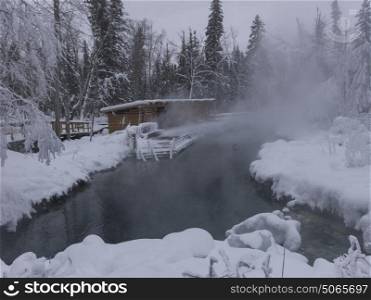 Steam erupting from hot spring, Liard River Hot Springs Provincial Park, Northern Rockies Regional Municipality, British Columbia, Canada