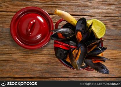 steamed mussels tapas from spain with chili garlic and lemon