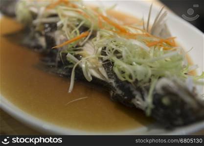 steamed sea bass fish with vegetable and fish sauce