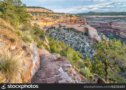 steep hiking trail descending into Ute Canyon in Colorado National Monument, morning spring scenery