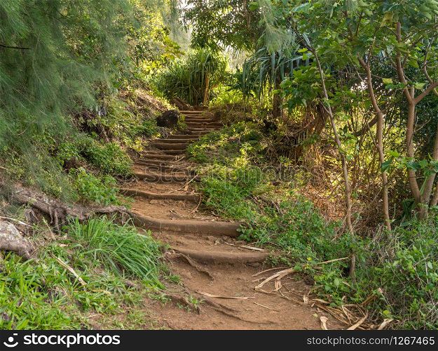 Steep steps made from tree roots up the famous Kalalau Trail on NaPali coast of Kauai. Steep steps in the dirt path of Kalalau trail on Na Pali coast of Kauai