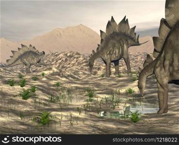 Stegosaurus dinosaurs walking to water in desertic landscape. Stegosaurus near water - 3D render