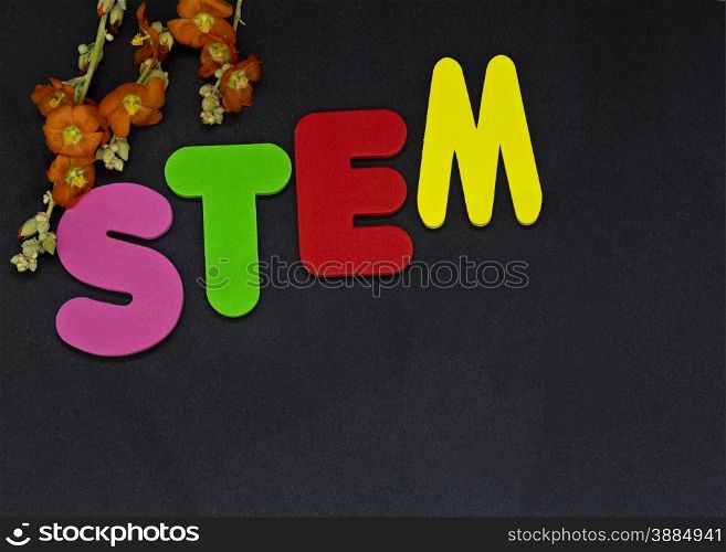 STEM area of education represented by letters STEM shown with flowers to highlight importance of Science, Technology, Engineering, and Mathematics. Black background with copy space on horizontal image.