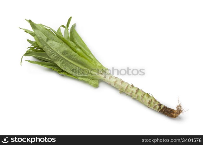 Stem lettuce on white background