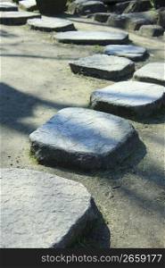 Stepping stone