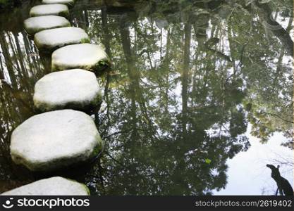 stepping stones over water