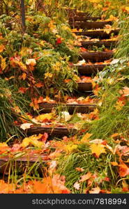 steps into autumn